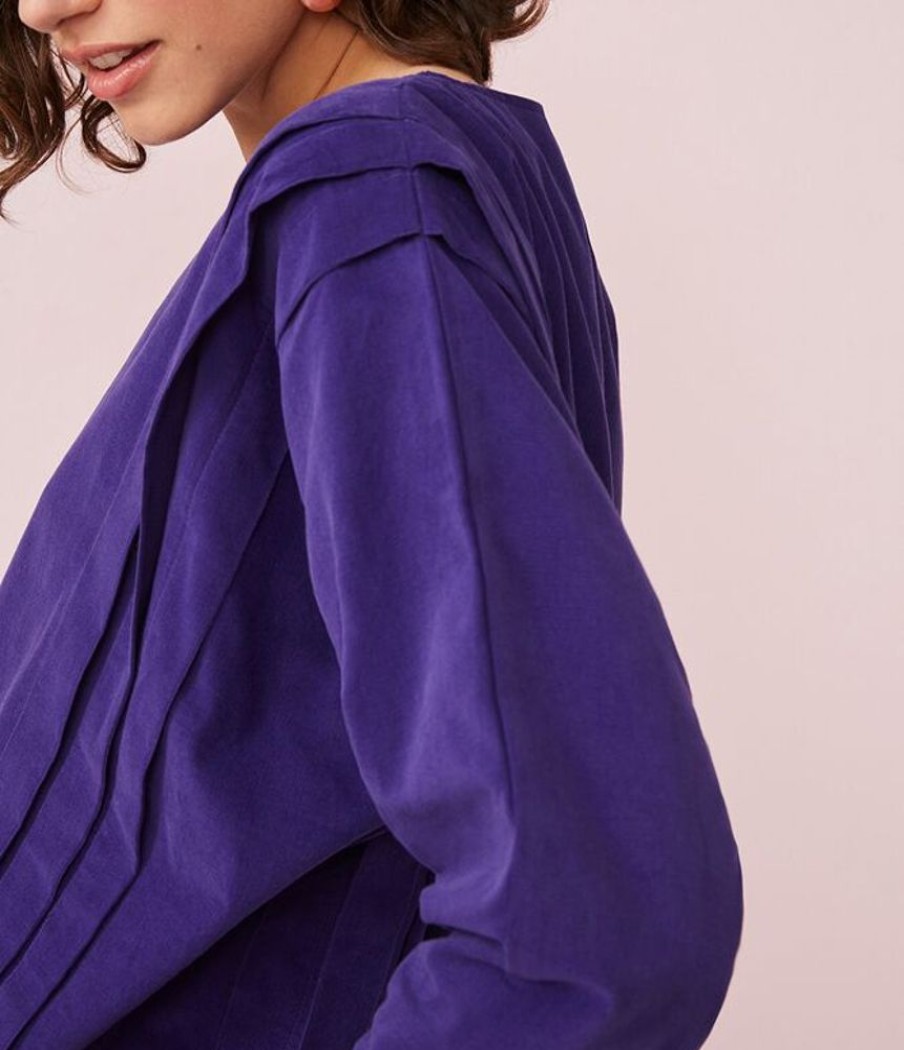 Femme des petits hauts Chemises & Blouses | Blouse Sibelle Violet