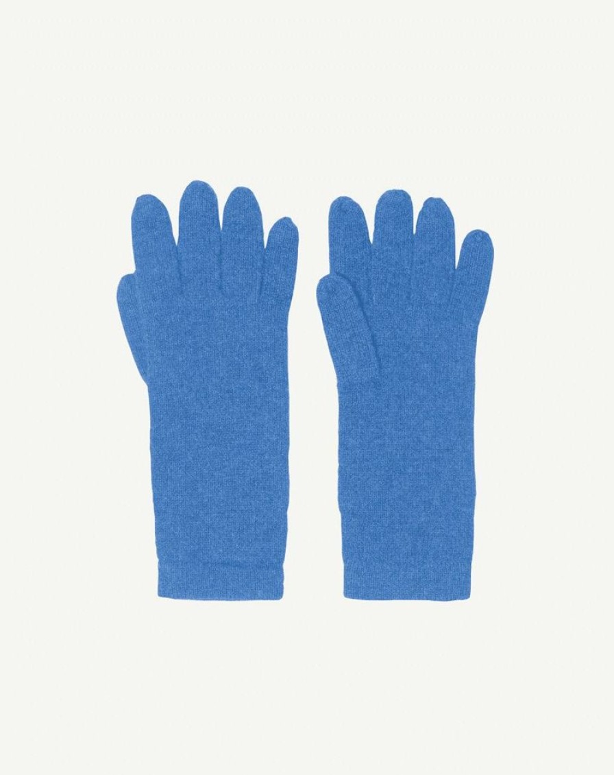 Femme eric bompard Gants | Gants Homme - Accessoires - Azur Bleu